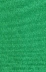 Fabric 1169 Greenglo nylon