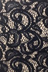 Fabric 12009 Navy lace