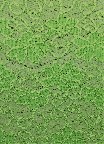 Fabric 12017 Neon green lace