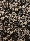 Fabric 12070 Black lace