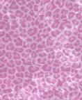 Fabric 3133 ** Pink Jaguar