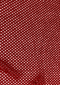 Fabric 14003 Red tempest mesh